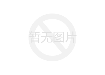 铁路隧道钢格栅板技术详析